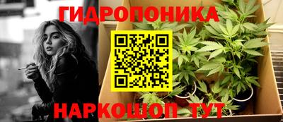 молекула духа Пугачёв