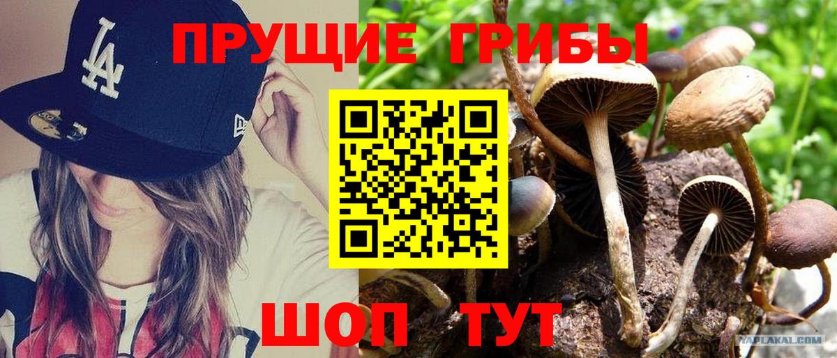 Псилоцибиновые грибы MAGIC MUSHROOMS Искитим