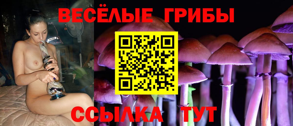 Искитим  Галлюциногенные грибы мицелий  Вход с VPN 